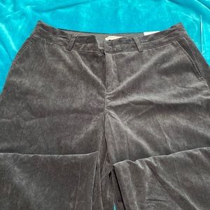 Coldwater Creek Soft Velour Trouser Fit Pants